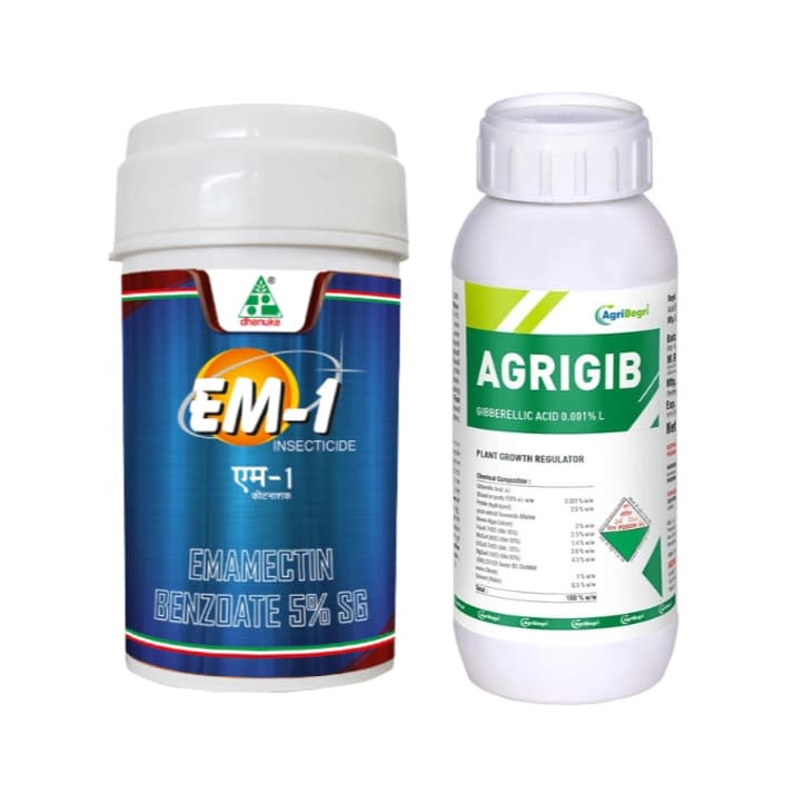 Eclat AgroxglobalSafe Crop Combo (EM-1 100gm + Agrigib 500ml) Effective Pest Control And Plant Growth