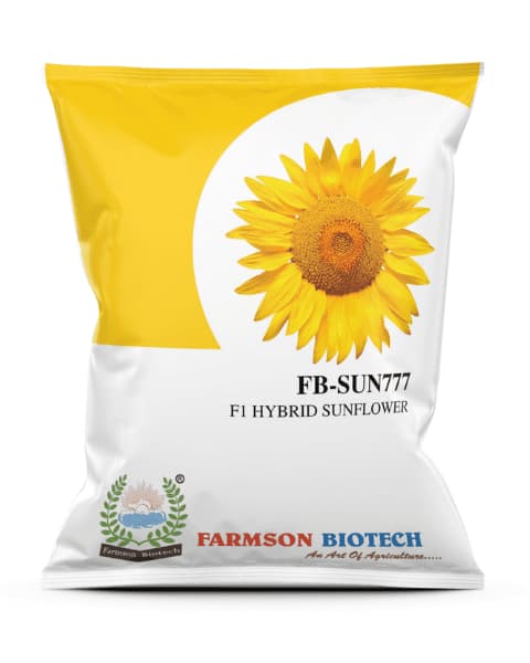 Farmson FB Sun777 F1 Hybrid Sunflower Seeds, Robust Growth, and Semi Erect, Plants Are Medium Tall (Buy 1 Get 1 Free)