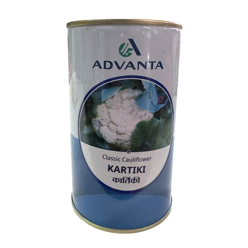 Advanta Kartiki Hybrid F1 Classic Cauliflower Seeds, High Yield & Dome White Curds